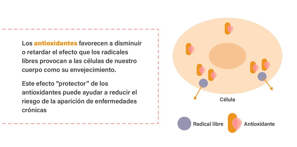 Antioxidantes Antioxidantes