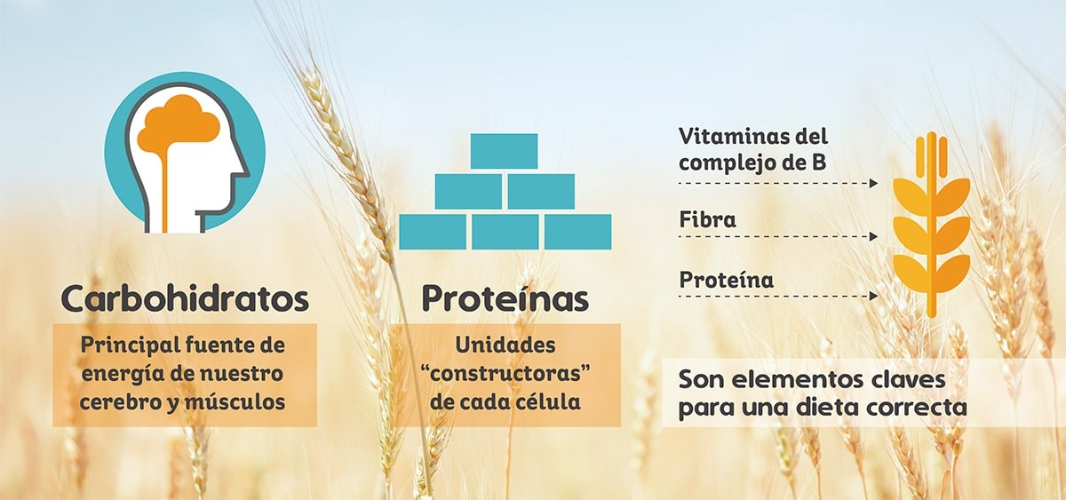 Elementos clave para una dieta correcta