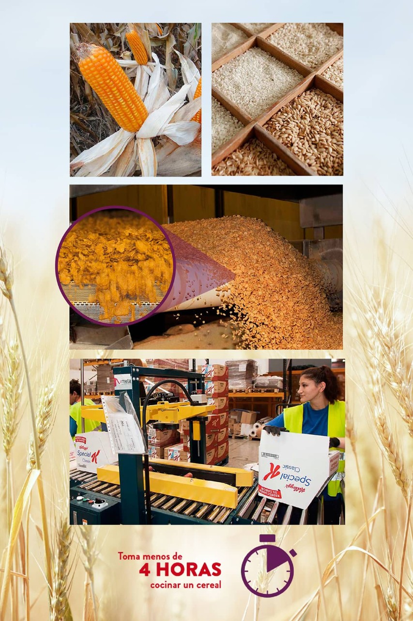 Del grano al cereal, toma menos de 4 horas Del grano al cereal, toma menos de 4 horas