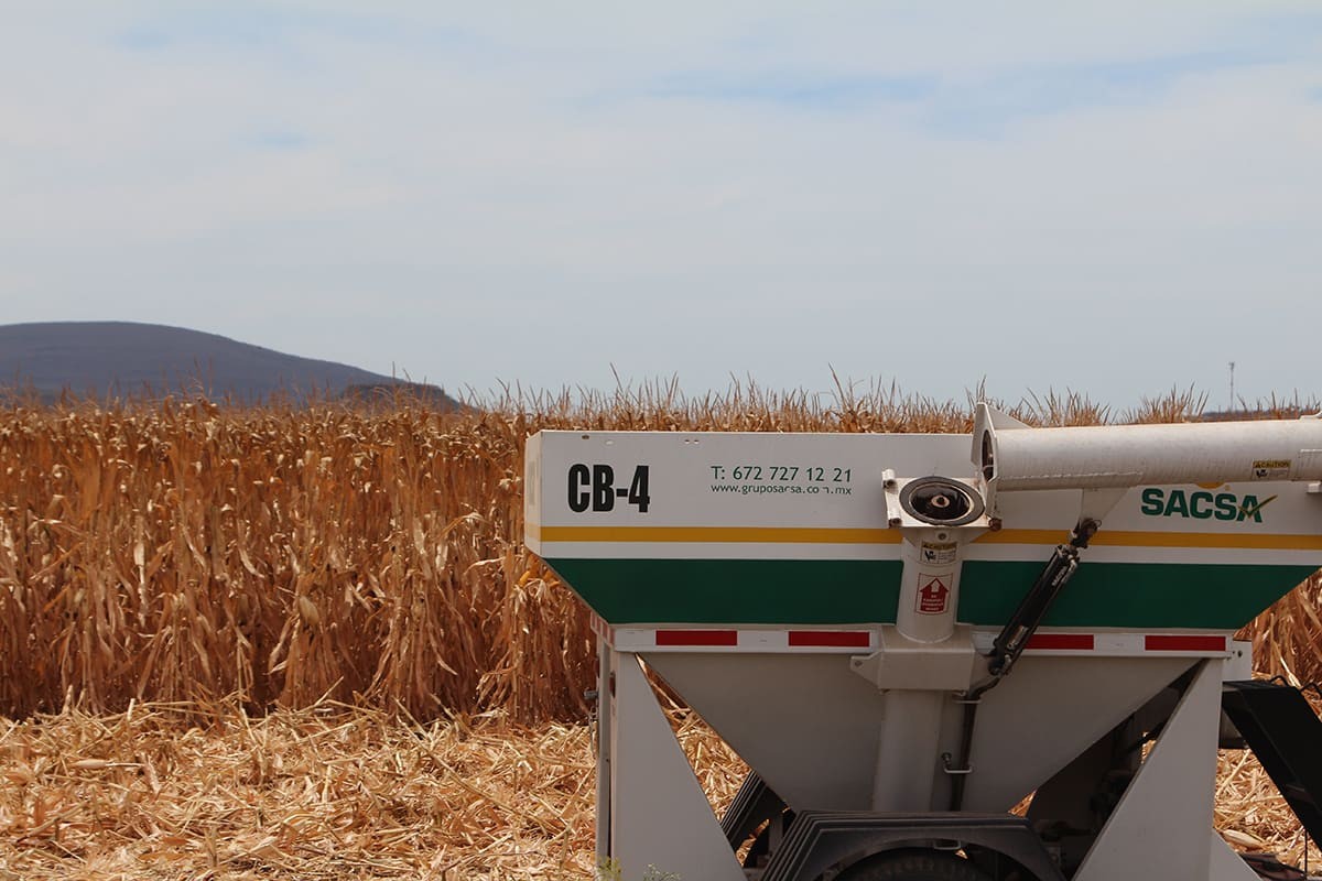 Desarrollo del campo mexicano