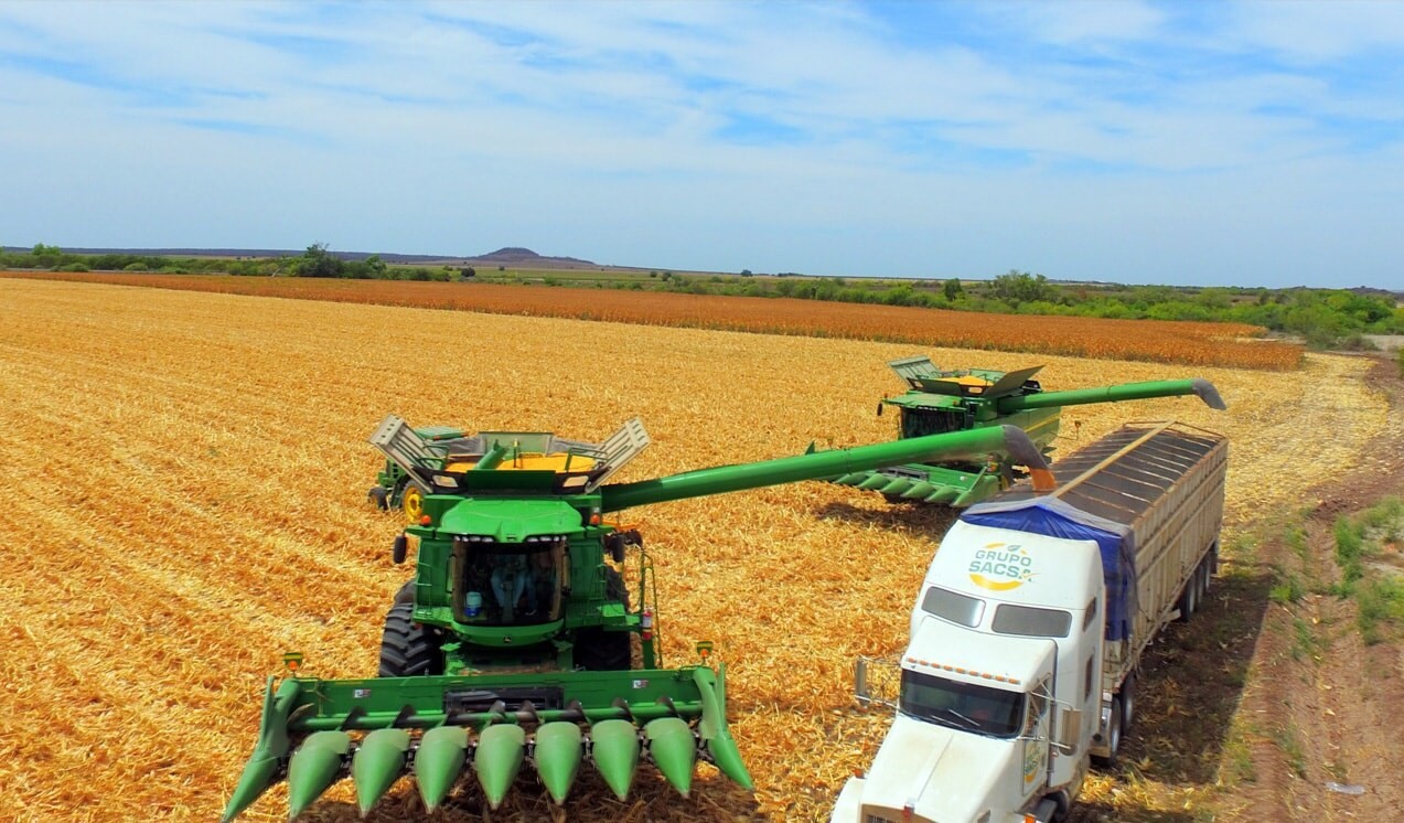 17 Objetivos de Desarrollo Sostenible (ODS)