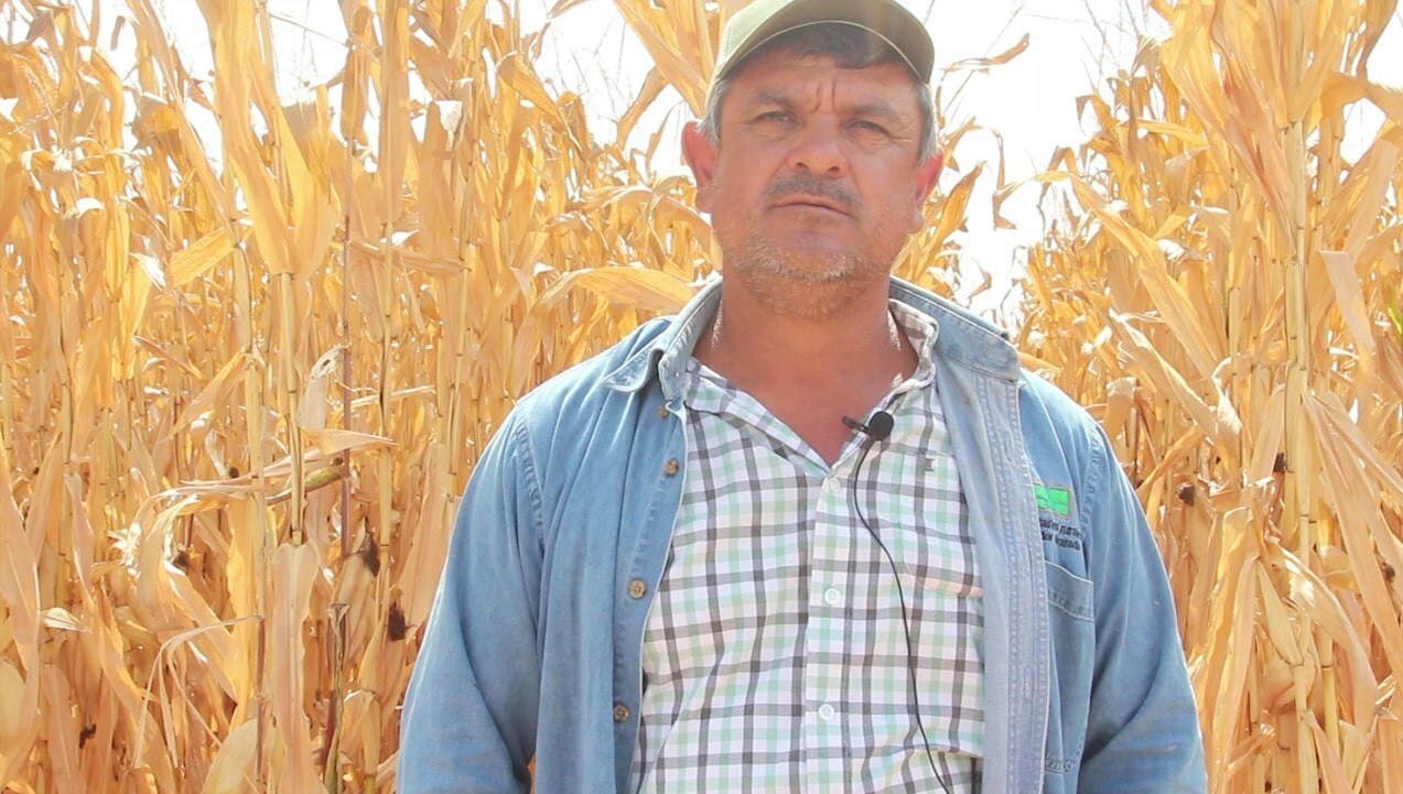 Productores de maíz Productores de maíz