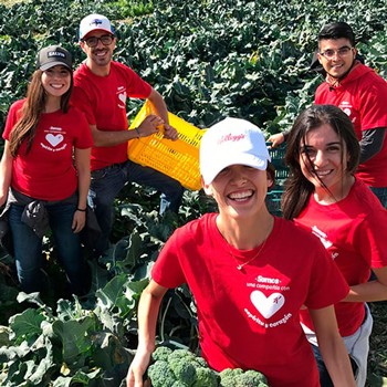 imagen artículo imagen artículo