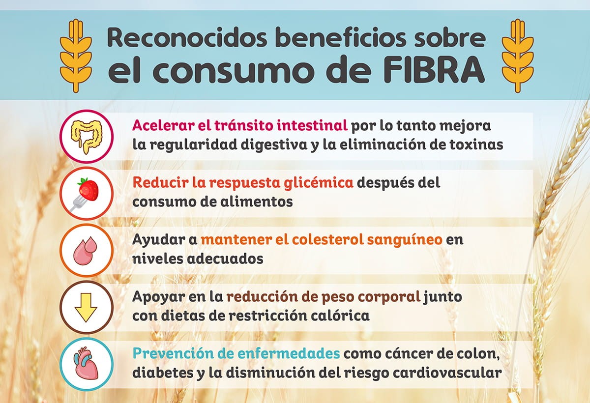 Reconocidos beneficios sobre el consumo de fibra Reconocidos beneficios sobre el consumo de fibra