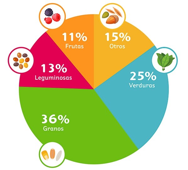 Alimentos fuente de fibra Alimentos fuente de fibra