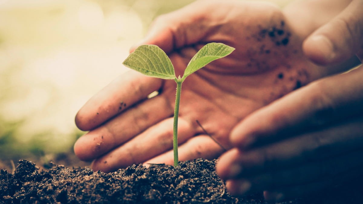 Visión sustentable Visión sustentable