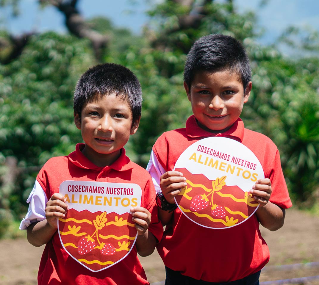 Cosechamos nuestros alimentos