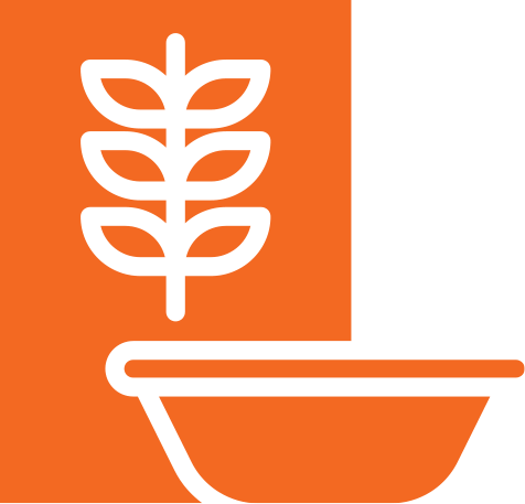 Desayunos Saludables 