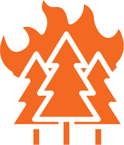 Incendios forestales