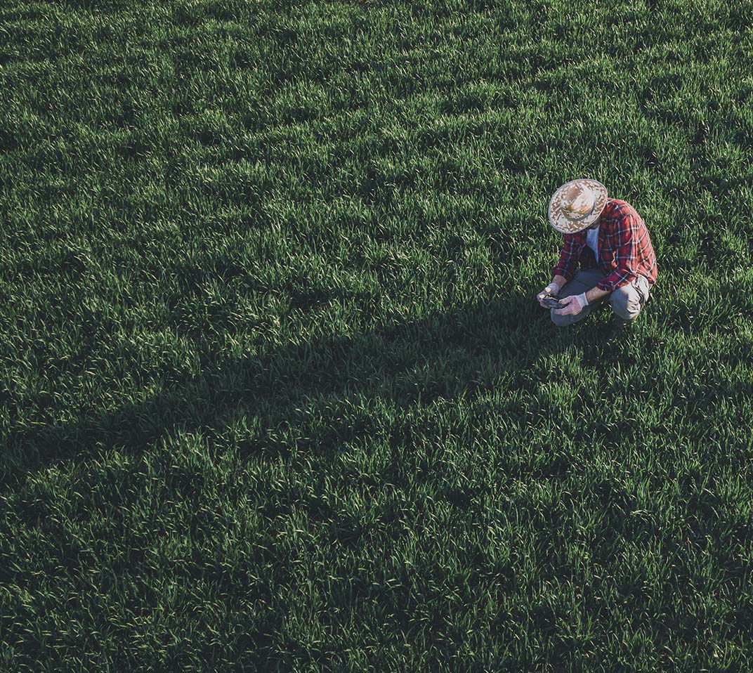 Sustentabilidad y cuidado del medio ambiente