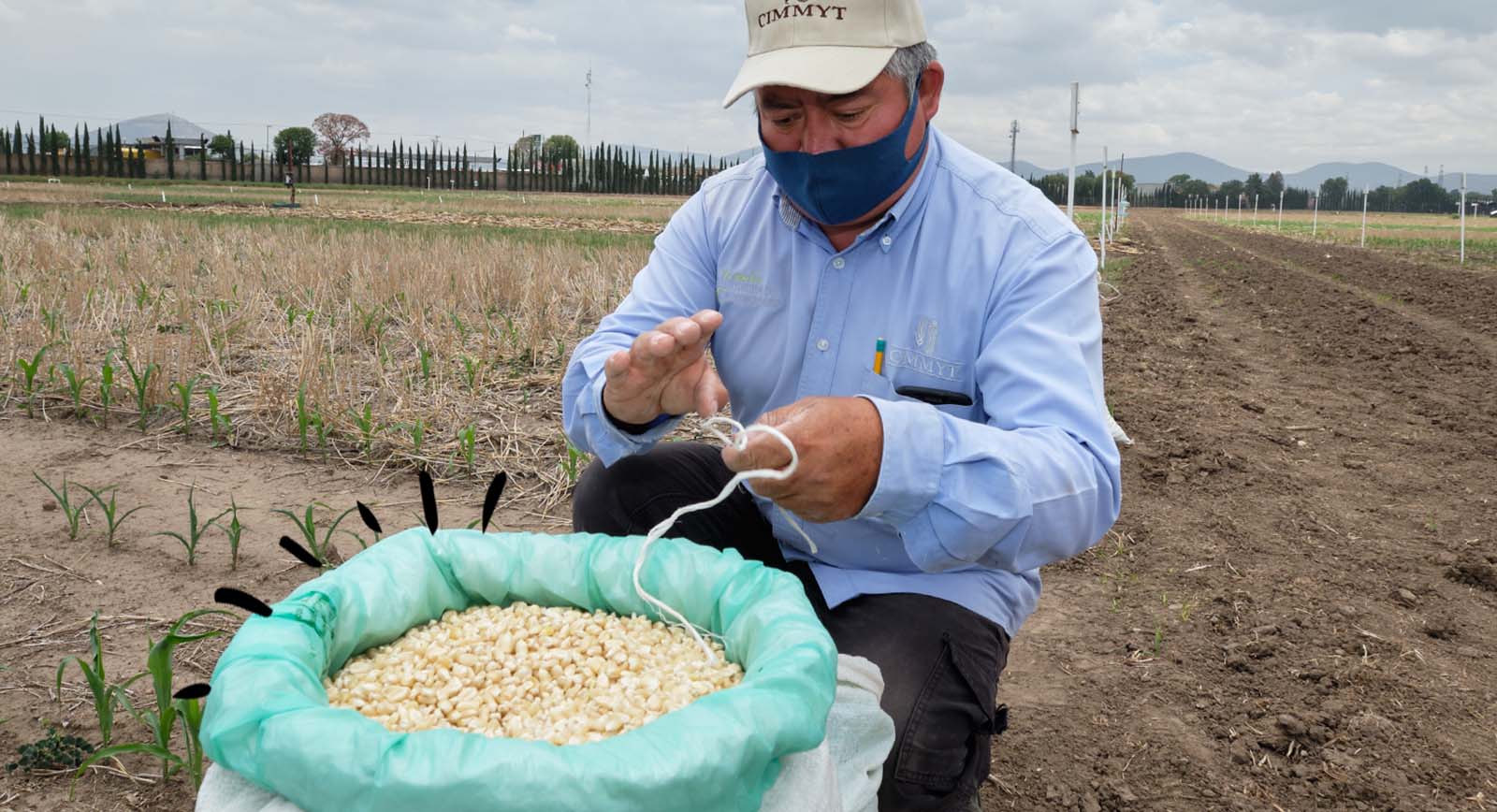 Productividad agrícola