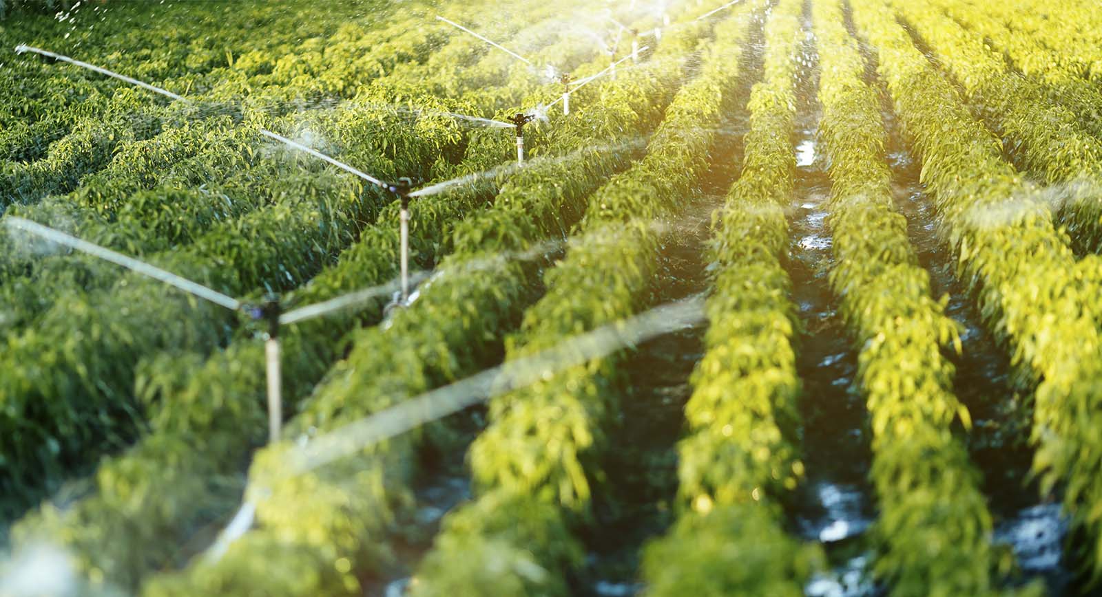 Protección del agua